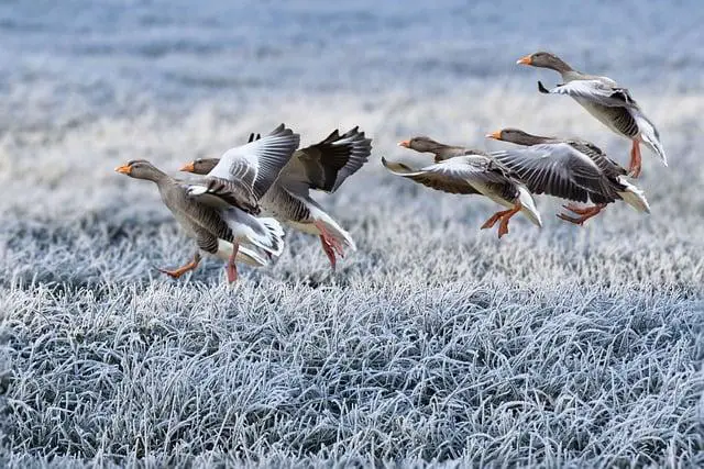 Jak se podívat na soukromý Instagram: Získejte přístup eticky a bezpečně!