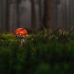 Druhy PPC Reklamy: Které Typy Pracují Nejlépe?