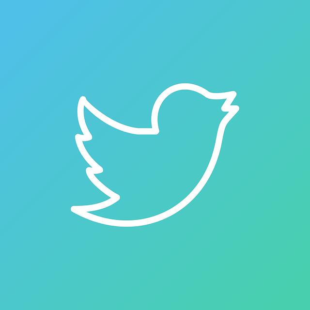 Jak mít černý Twitter: Nastavení tmavého režimu pro pohodlné používání
