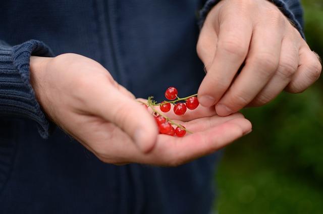 Důležité prvky úspěšného e-mailového marketingového plánu