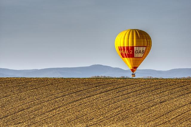 Jak mohou podniky využívat veřejný sektor k podpoře svého růstu a rozvoje