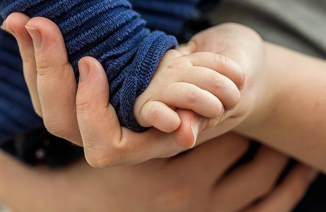 Podpora inovativních řešení pro optimalizaci pracovního kapitálu a růst podniku