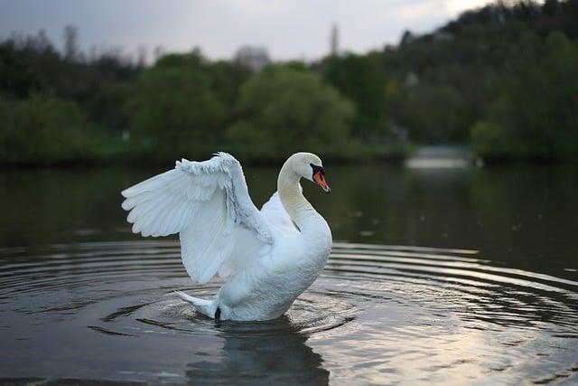 Využití fotografie pro budování značky ⁣a zvýšení povědomí